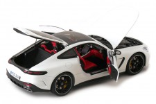 MERCEDES-Benz AMG GT63 Coupe 2023 Opalith White - NZG Scale 1:18 (1034/41)