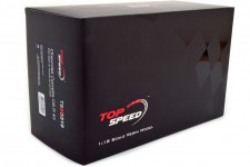 Chevrolet CORVETTE C8.R 4th 24h Daytona 2020 Catsburg / Garcia / Taylor - Top Speed Scale 1:18 (TS0319)